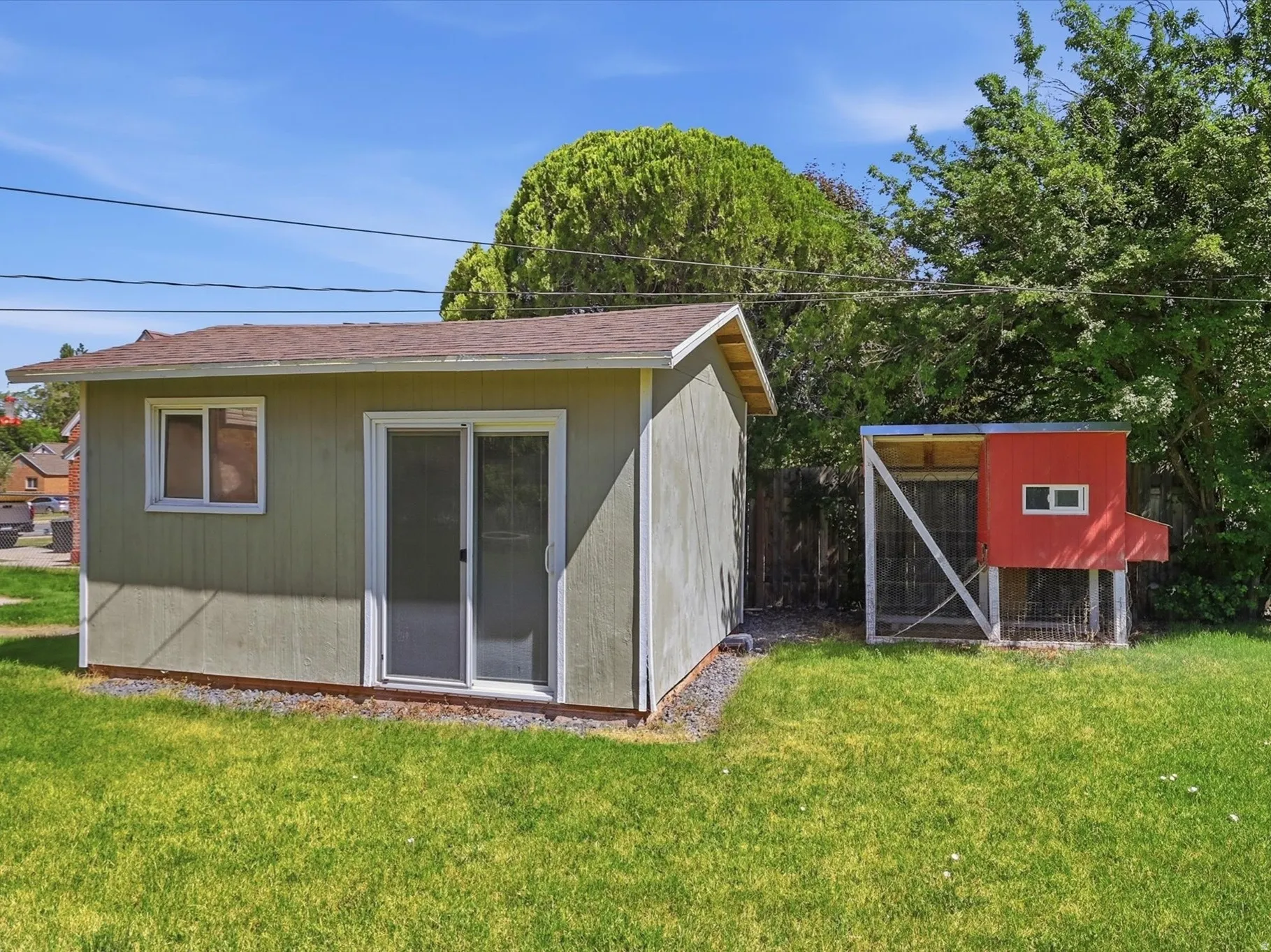 Shed and chicken coup