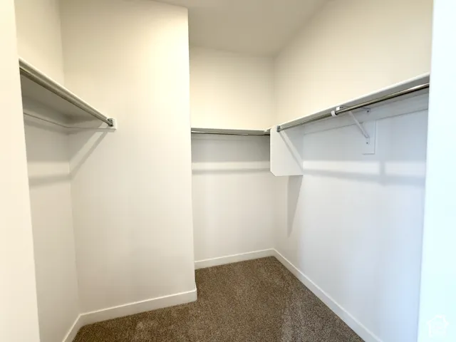 Walk-in closet with integrated shelving, multiple hanging rods, and neutral carpet flooring