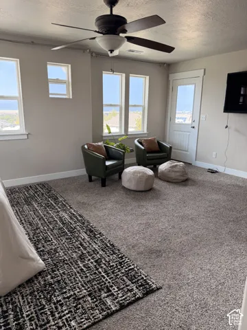 Carpeted room featuring multiple windows, a ceiling fan, and a white paneled door