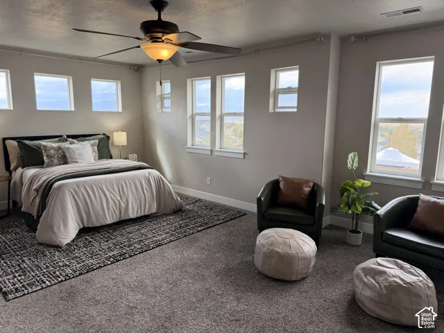 Spacious room featuring multiple windows, a ceiling fan with integrated lighting, and neutral-toned wall paint