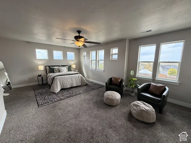 Spacious room featuring neutral paint, carpeted flooring, a ceiling fan, and multiple windows