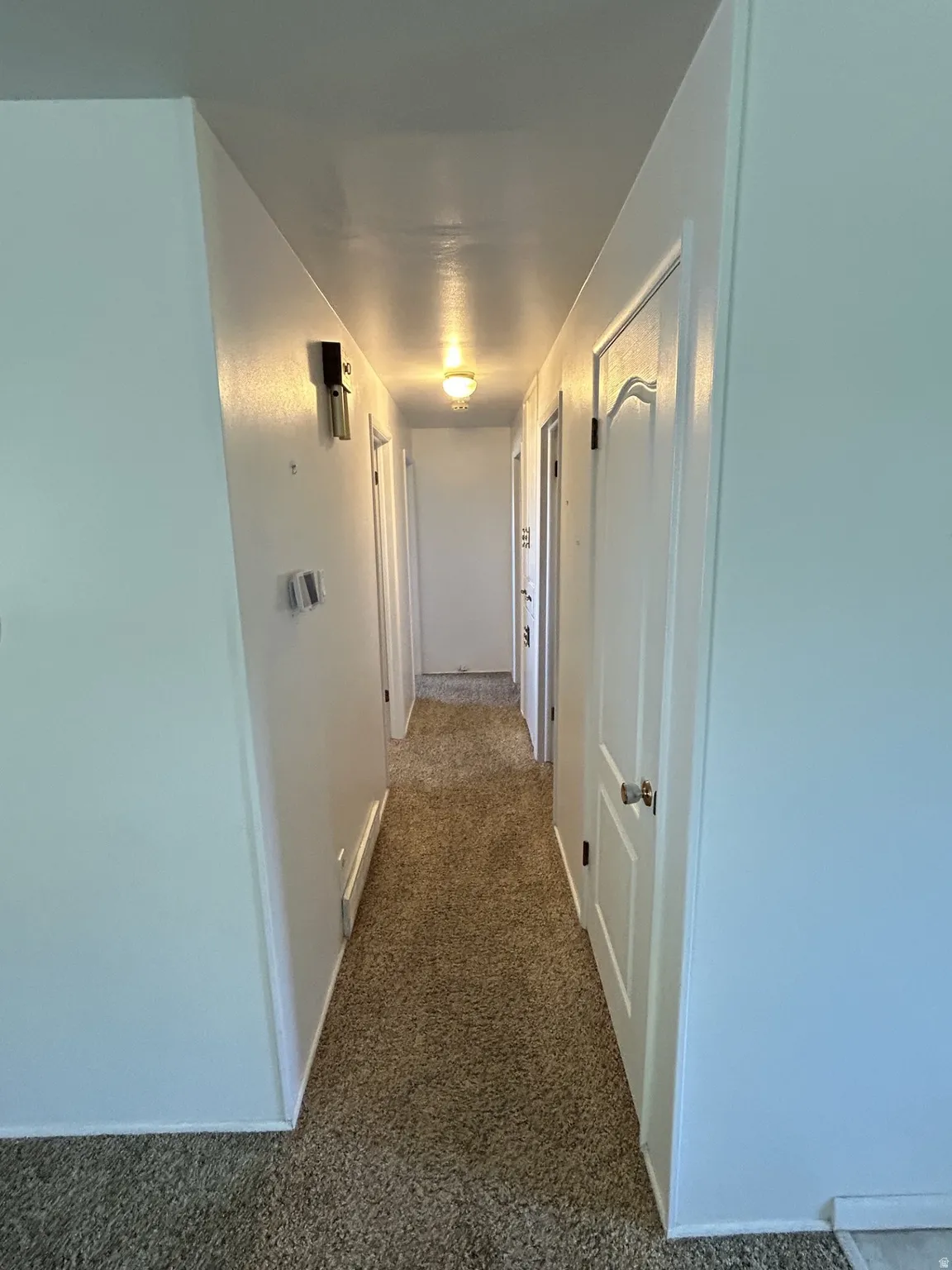 Hallway featuring a closet with a panel door, warm-toned carpet flooring, and overhead lighting