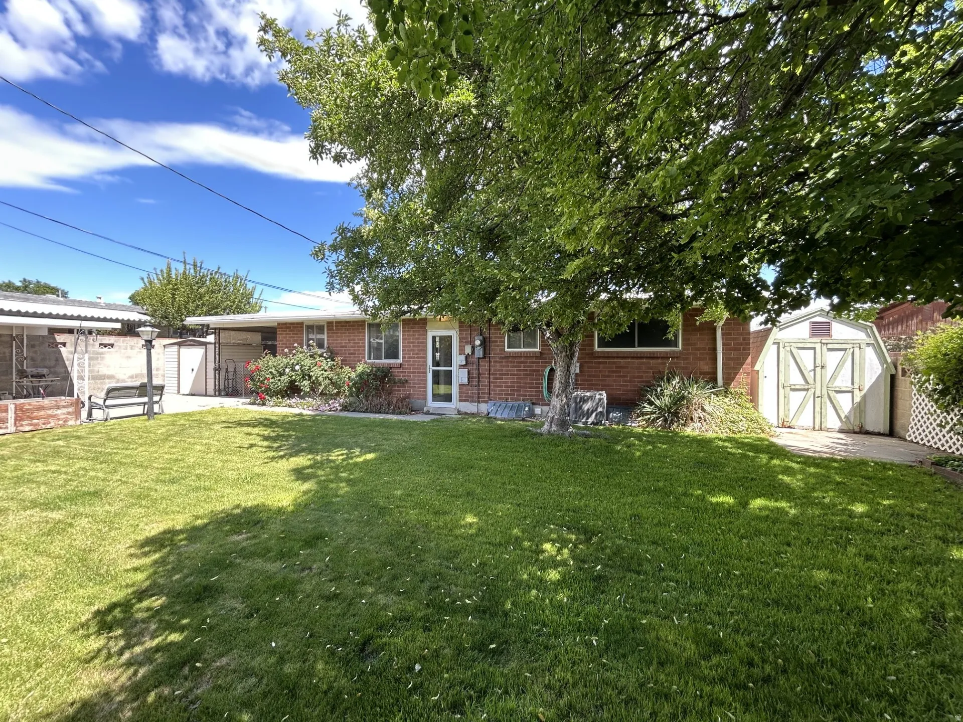 Backyard lawn area with mature trees providing natural shade
