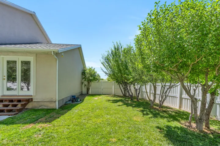 Expansive backyard featuring a manicured lawn, a row of mature trees, and a white privacy fence