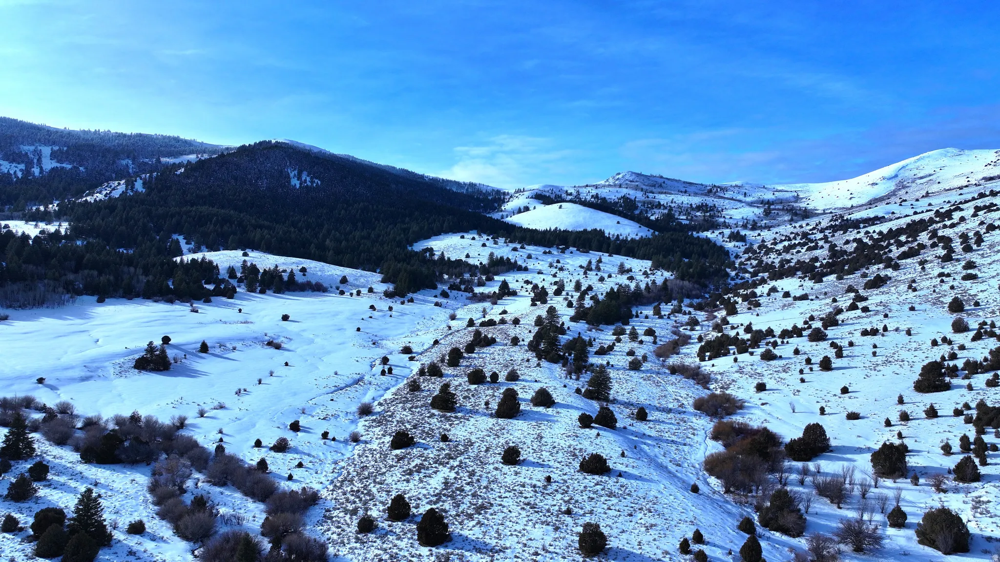 Expansive mountainous terrain featuring natural snow cover, scattered evergreen trees, and a clear blue sky