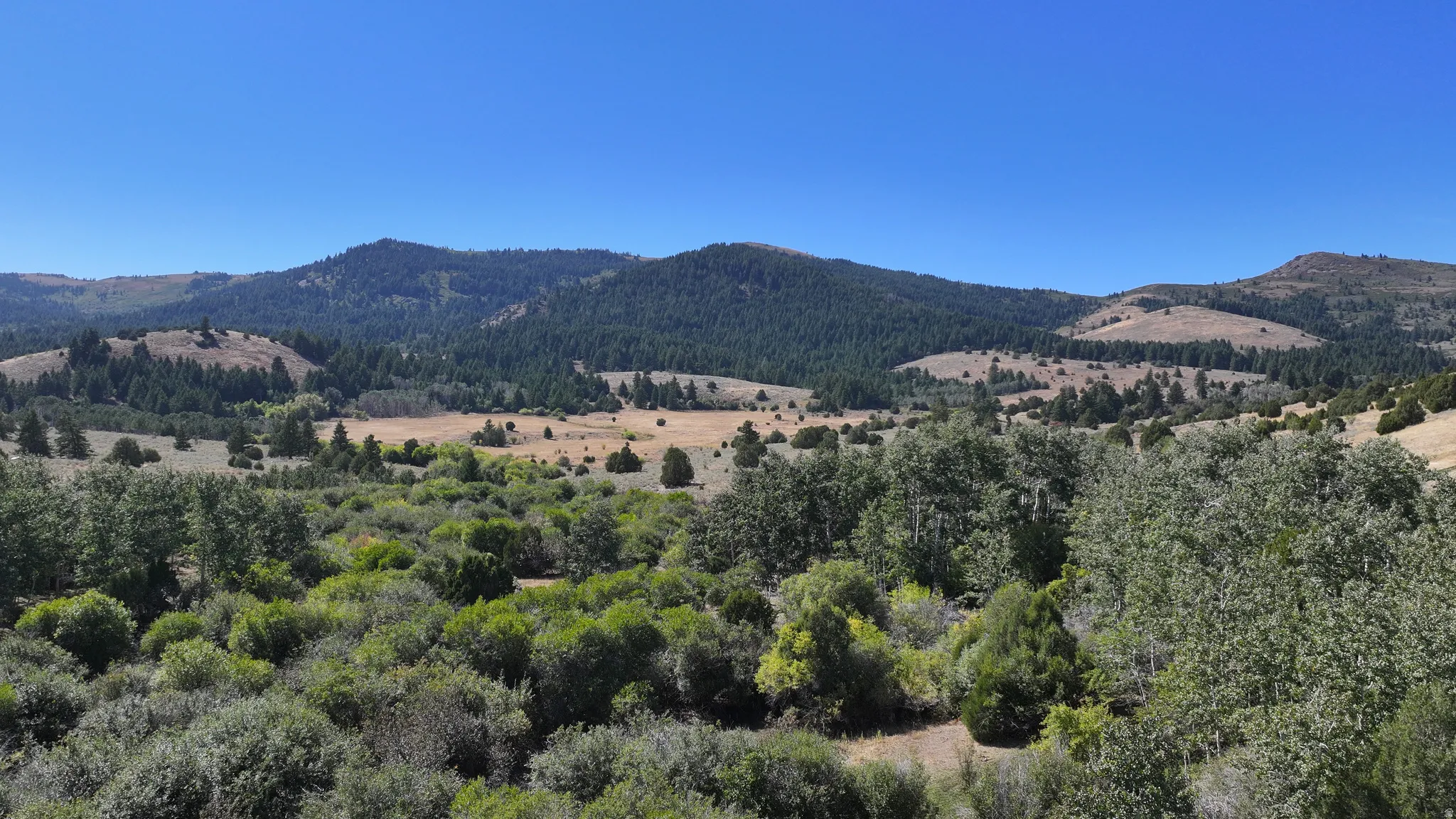 Expansive natural landscape featuring rolling hills and diverse vegetation