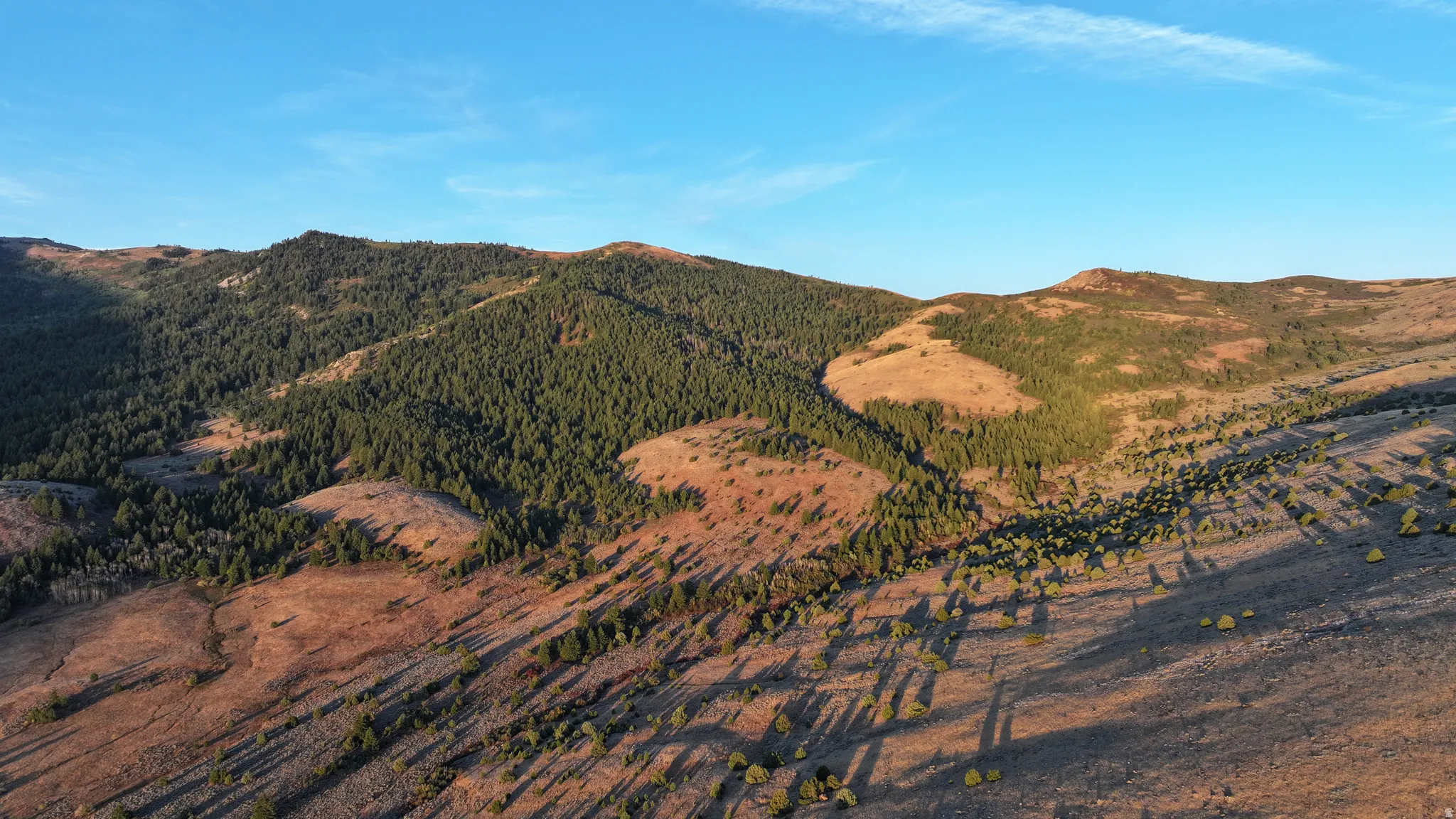 Expansive mountainous landscape featuring dense evergreen forests and natural grasslands
