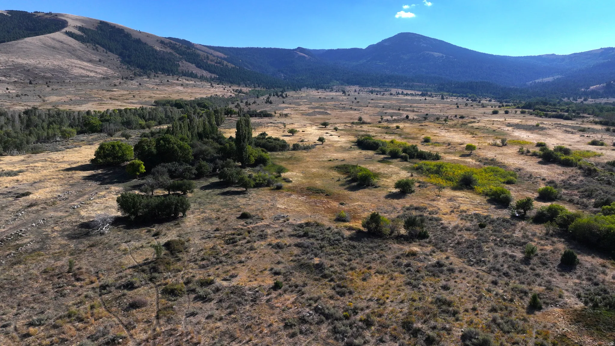 Expansive rural landscape featuring a mix of mature trees and open terrain