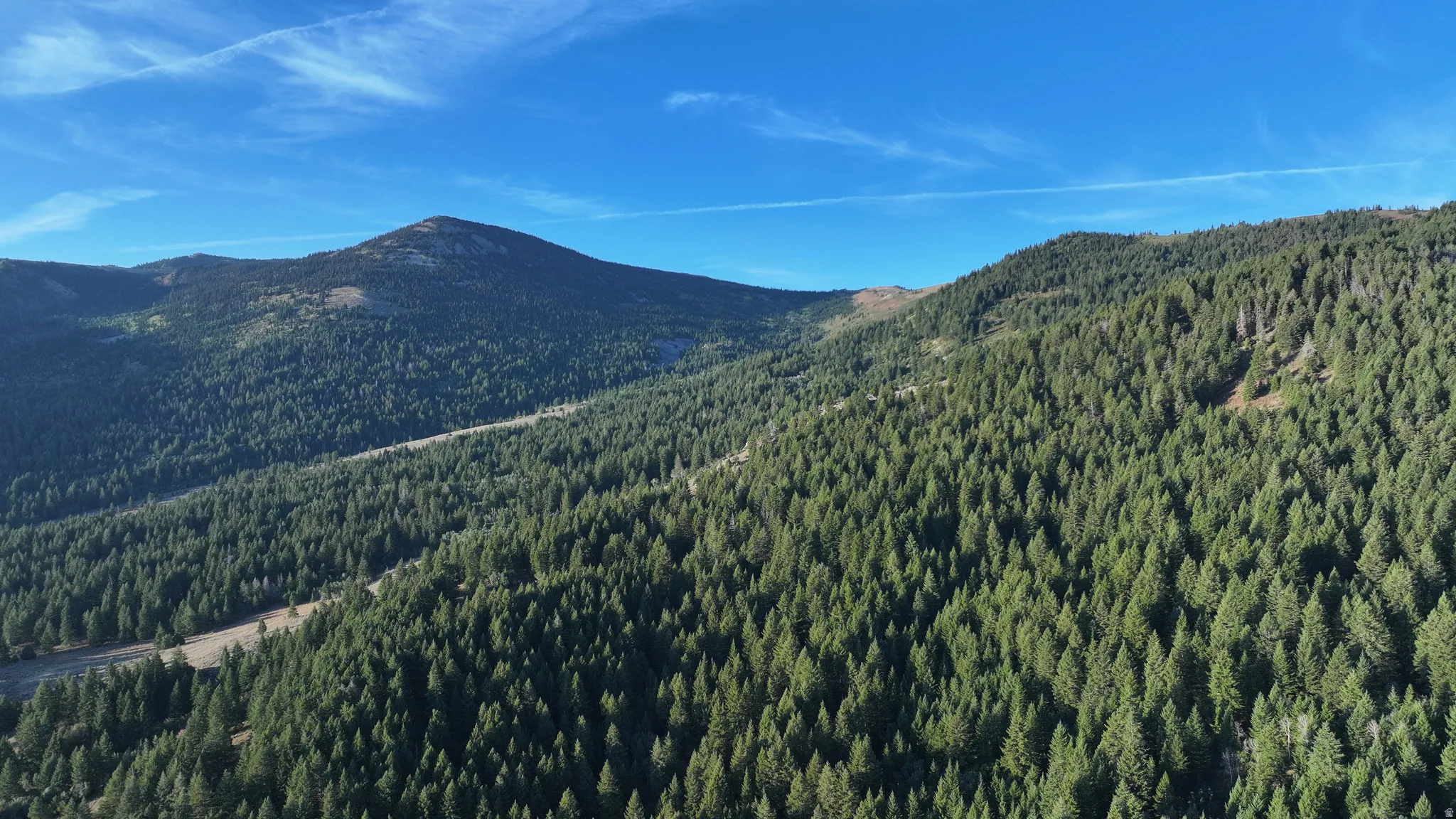 Expansive mountain landscape featuring dense evergreen forests and a clear blue sky