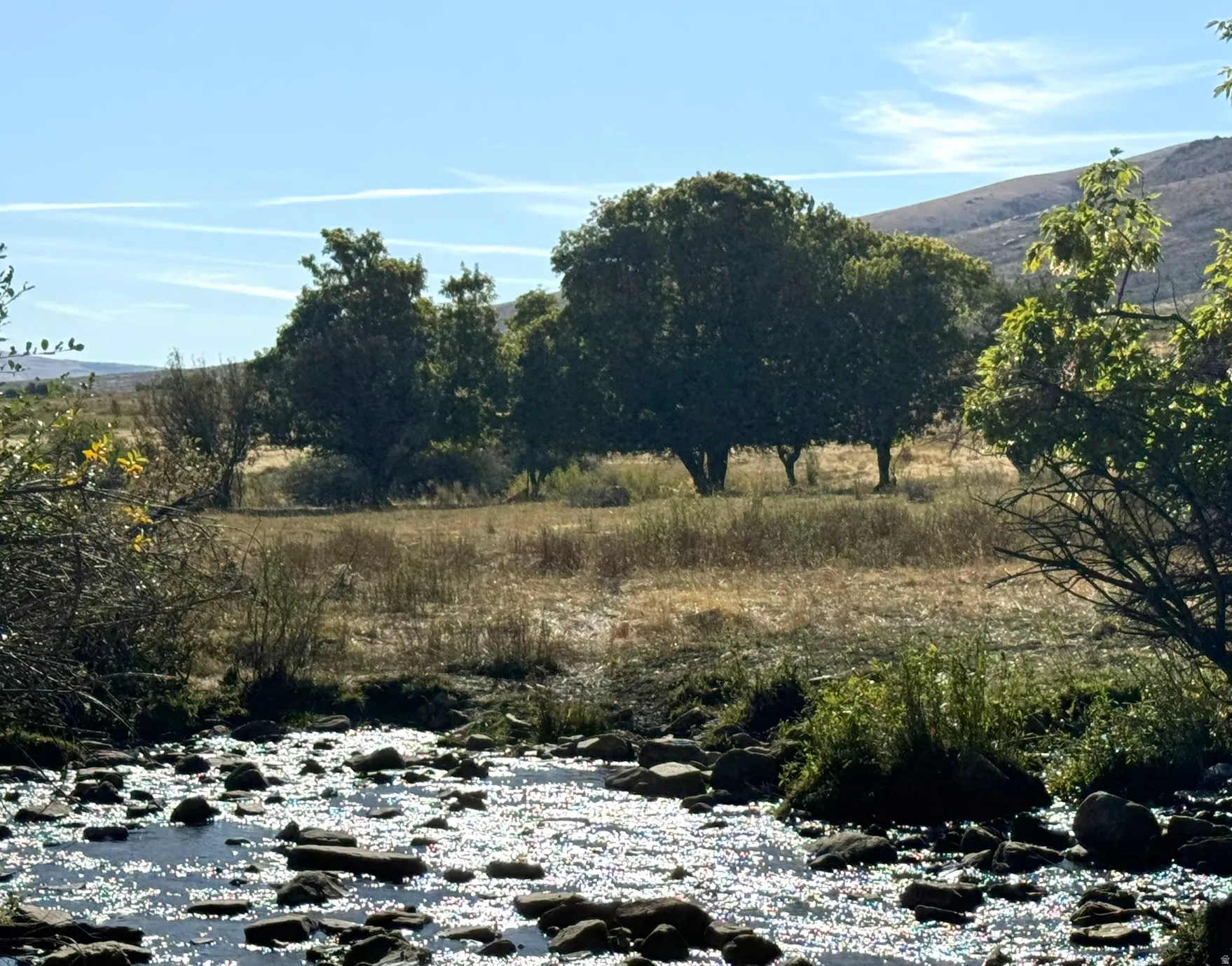 Rocky stream with sparkling water, bordered by natural vegetation and mature trees, set against a backdrop of rolling hills