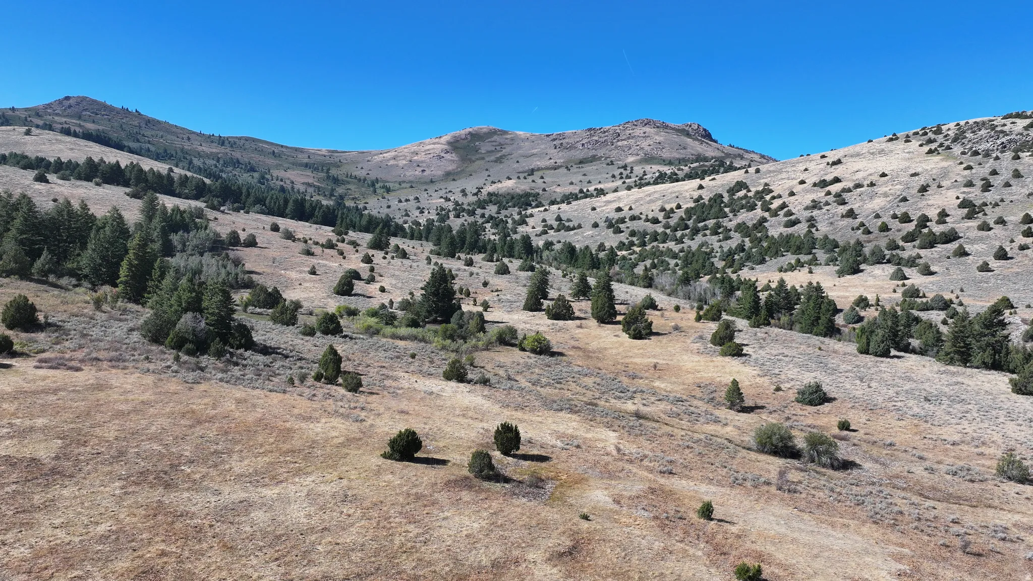 Expansive natural landscape with rolling hills and varied topography