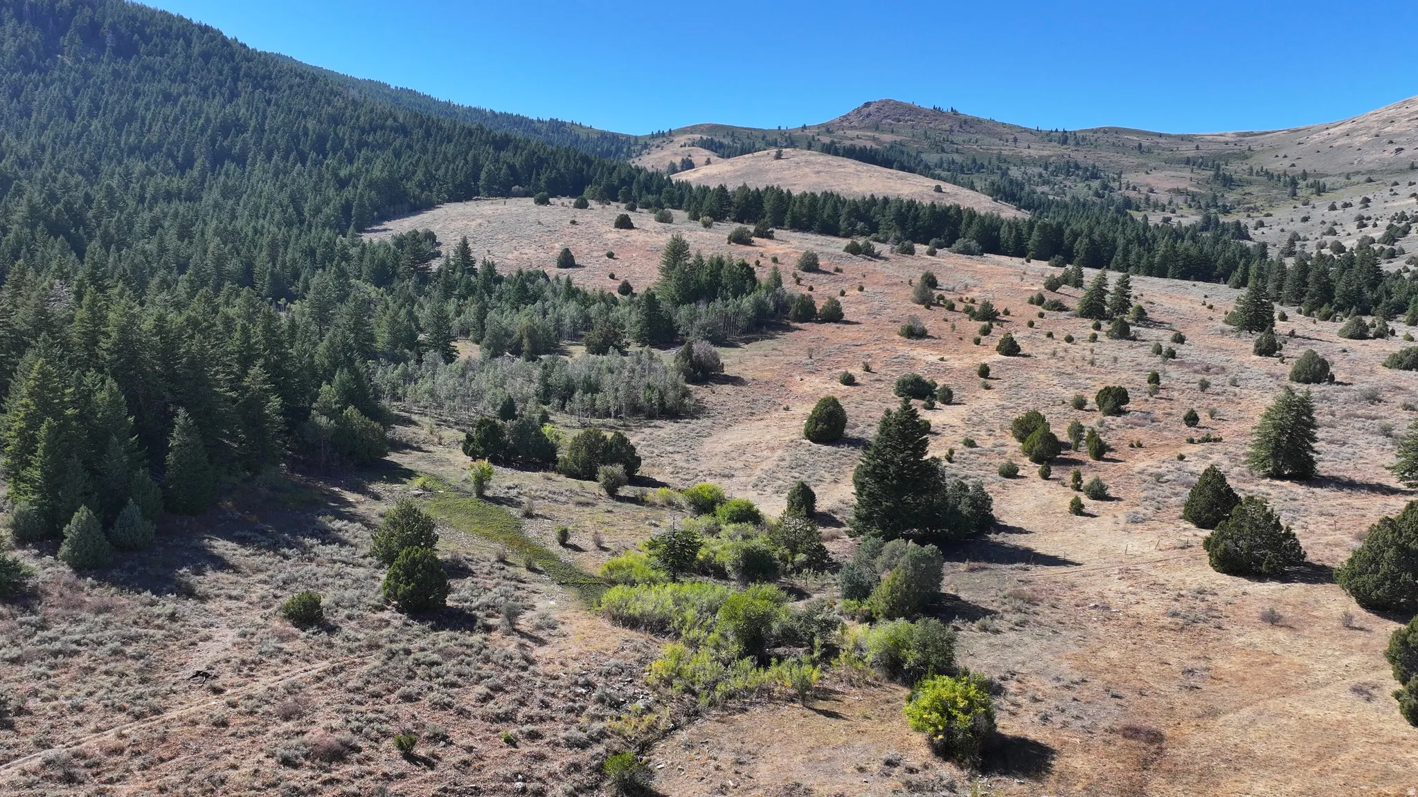 Expansive acreage featuring rolling hills and varied topography