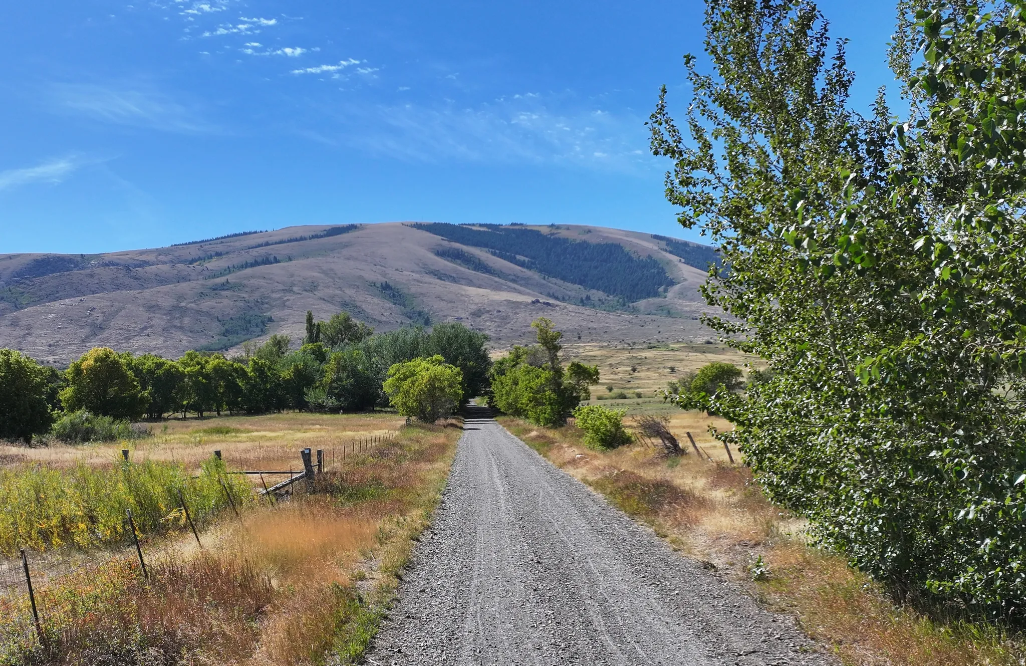 Gravel driveway bordered by natural fencing and mature trees, set against a backdrop of rolling hills and open fields