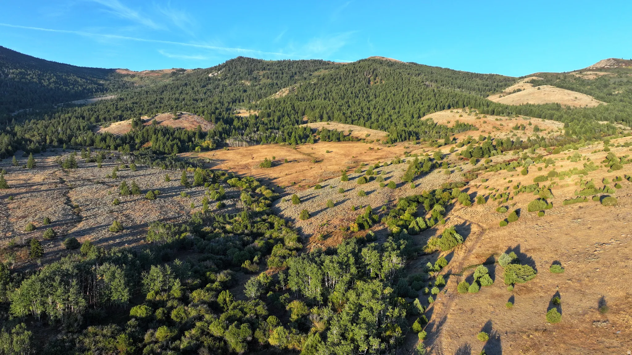 Expansive mountain terrain featuring diverse vegetation, including evergreen forests and patches of golden grass