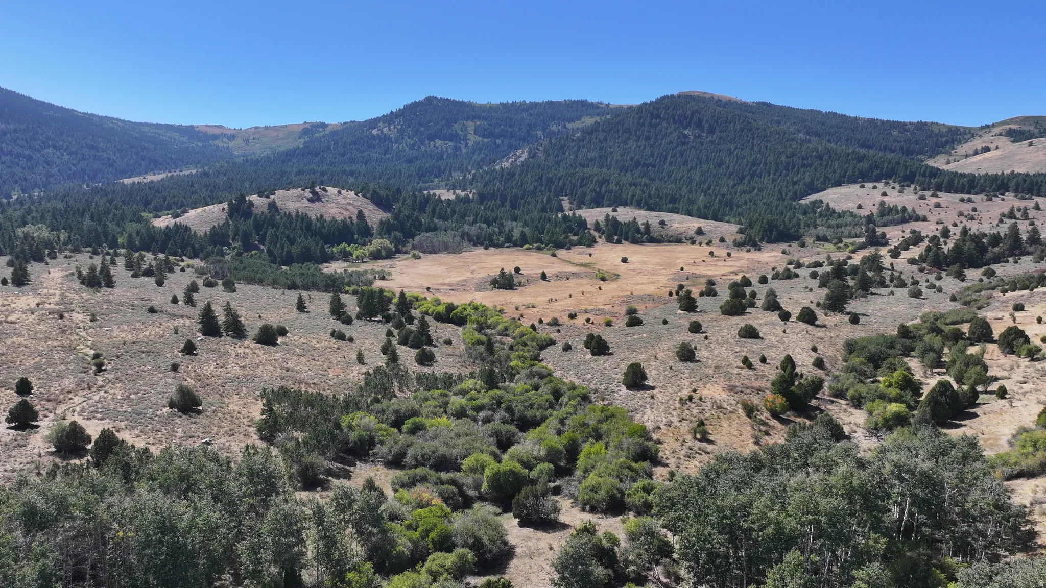Expansive mountain landscape featuring varied terrain with a mix of evergreen and deciduous trees