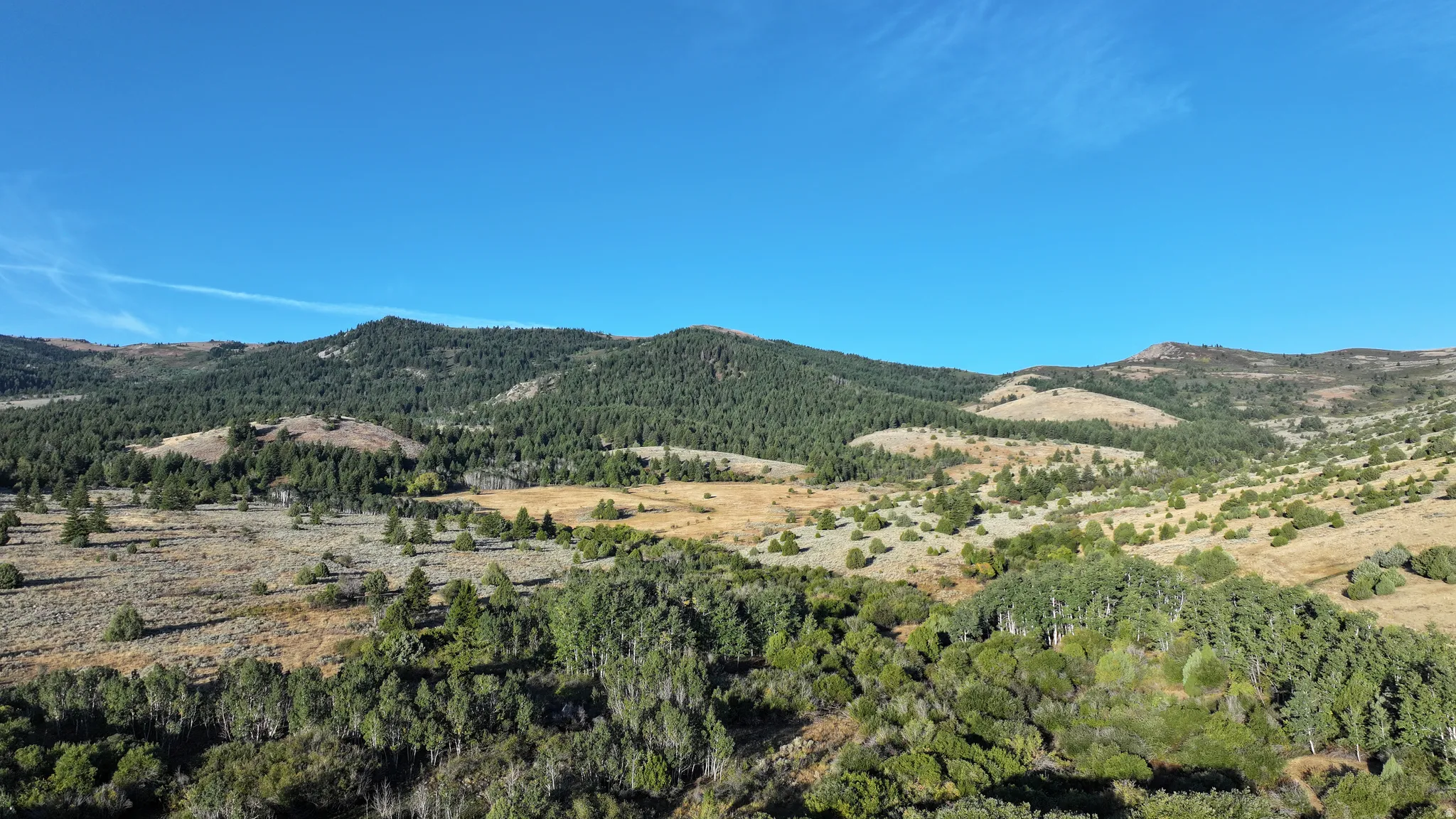 Expansive, tree-covered mountainside property featuring varied terrain, a clear blue sky, and diverse natural vegetation