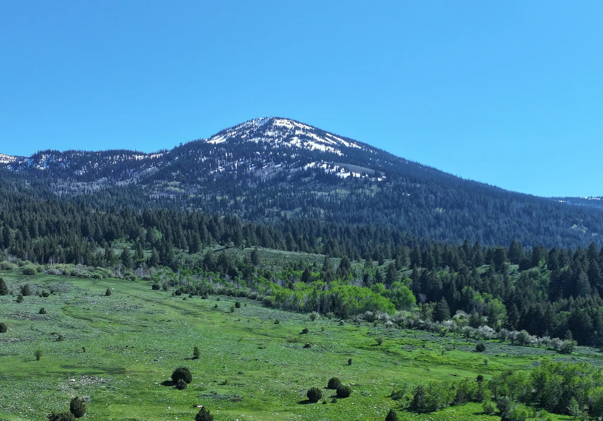 Expansive natural landscape featuring a mountain backdrop with snow-capped peaks, dense evergreen forests, and verdant rolling hills