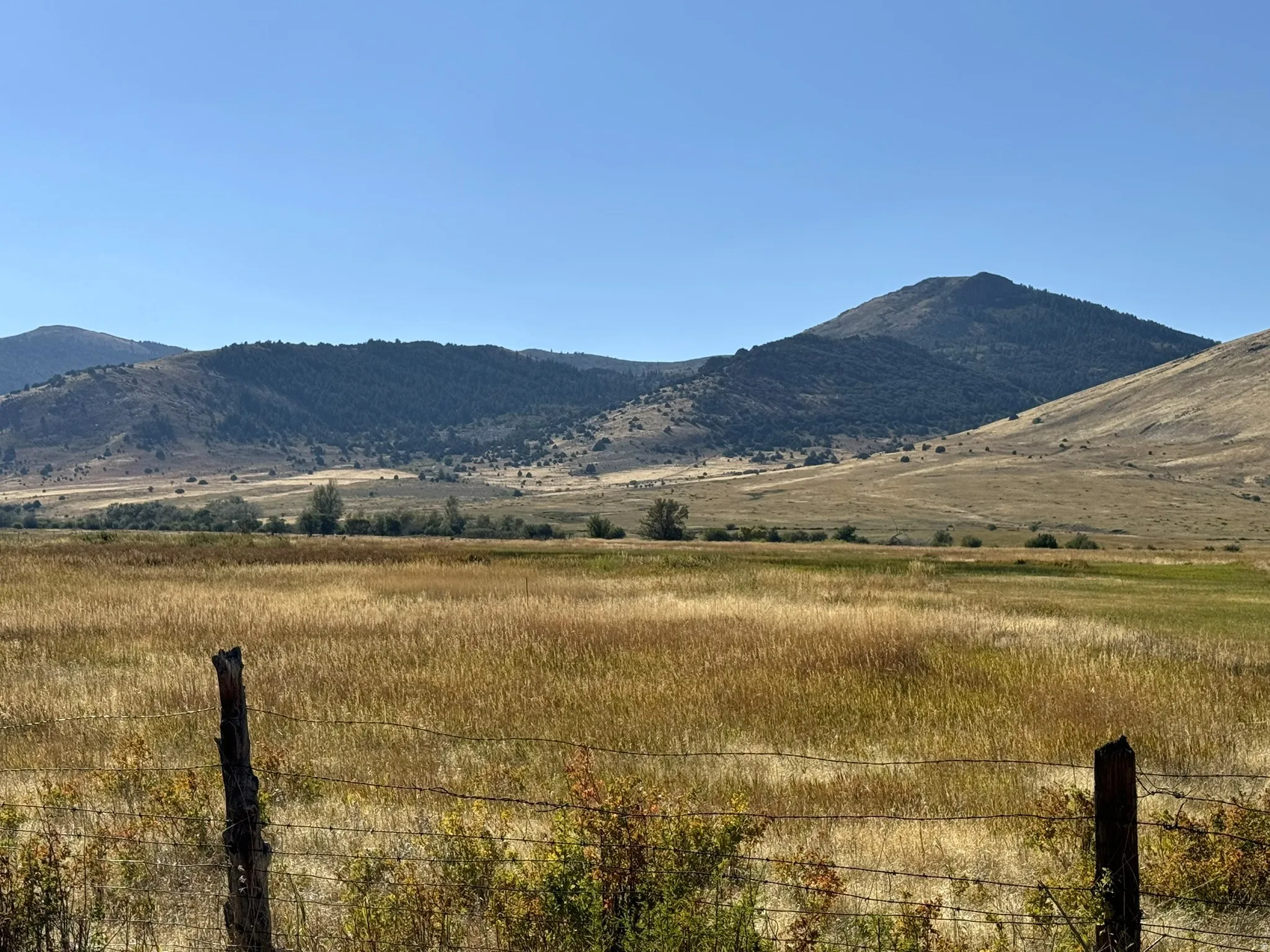 Expansive natural landscape featuring rolling hills, distant mountains, and varied natural vegetation under a clear sky