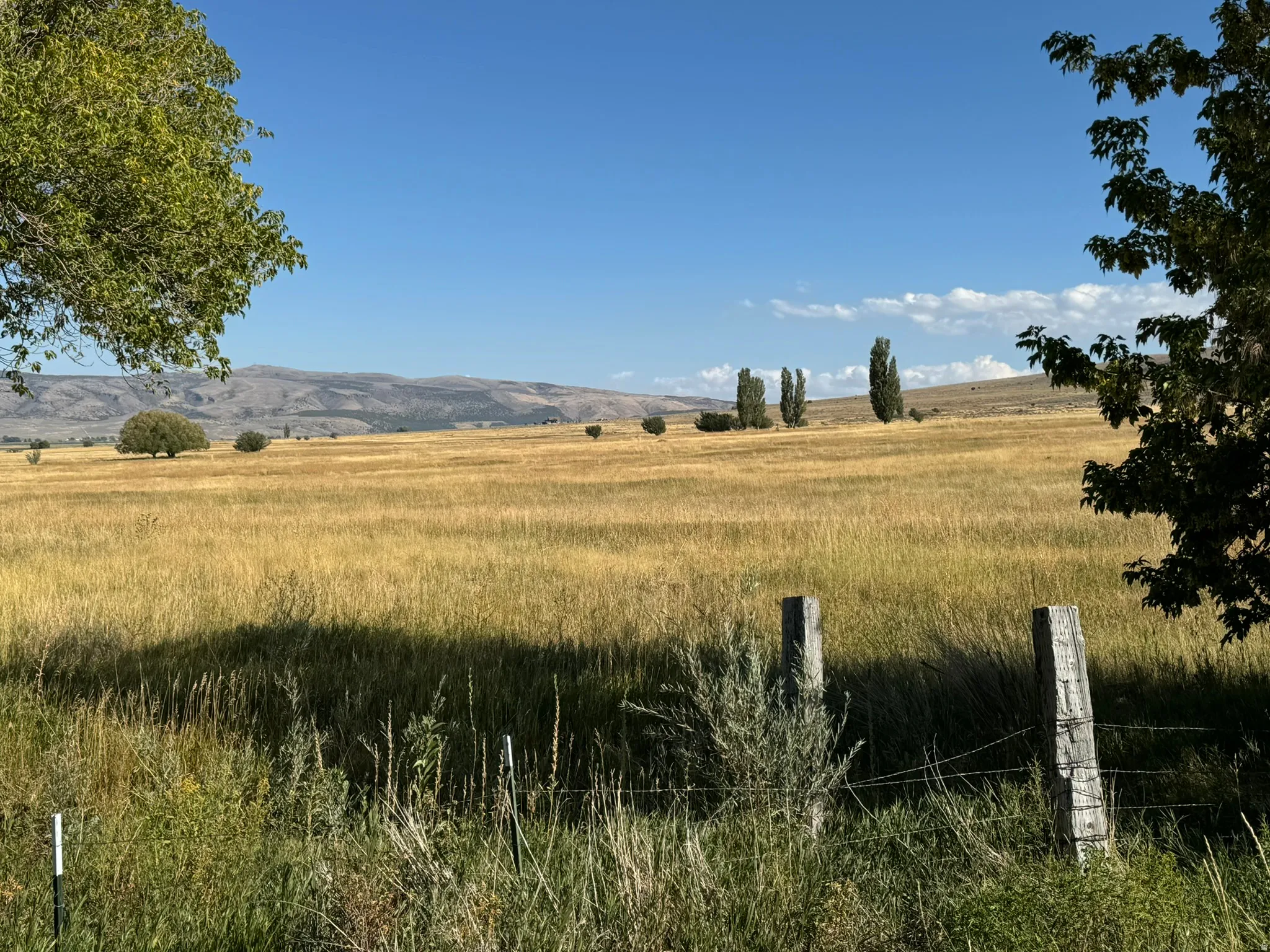 Expansive land featuring golden grasses and distant mountains under a clear sky