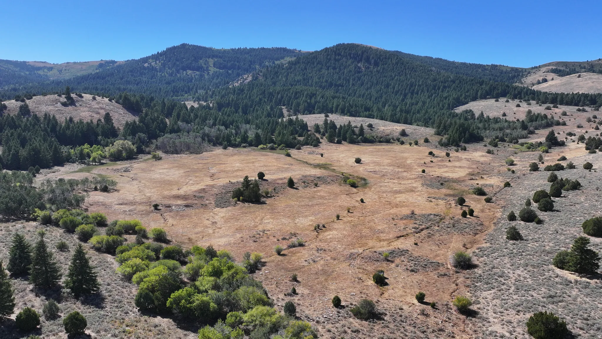 Expansive natural landscape featuring rolling hills and varied topography
