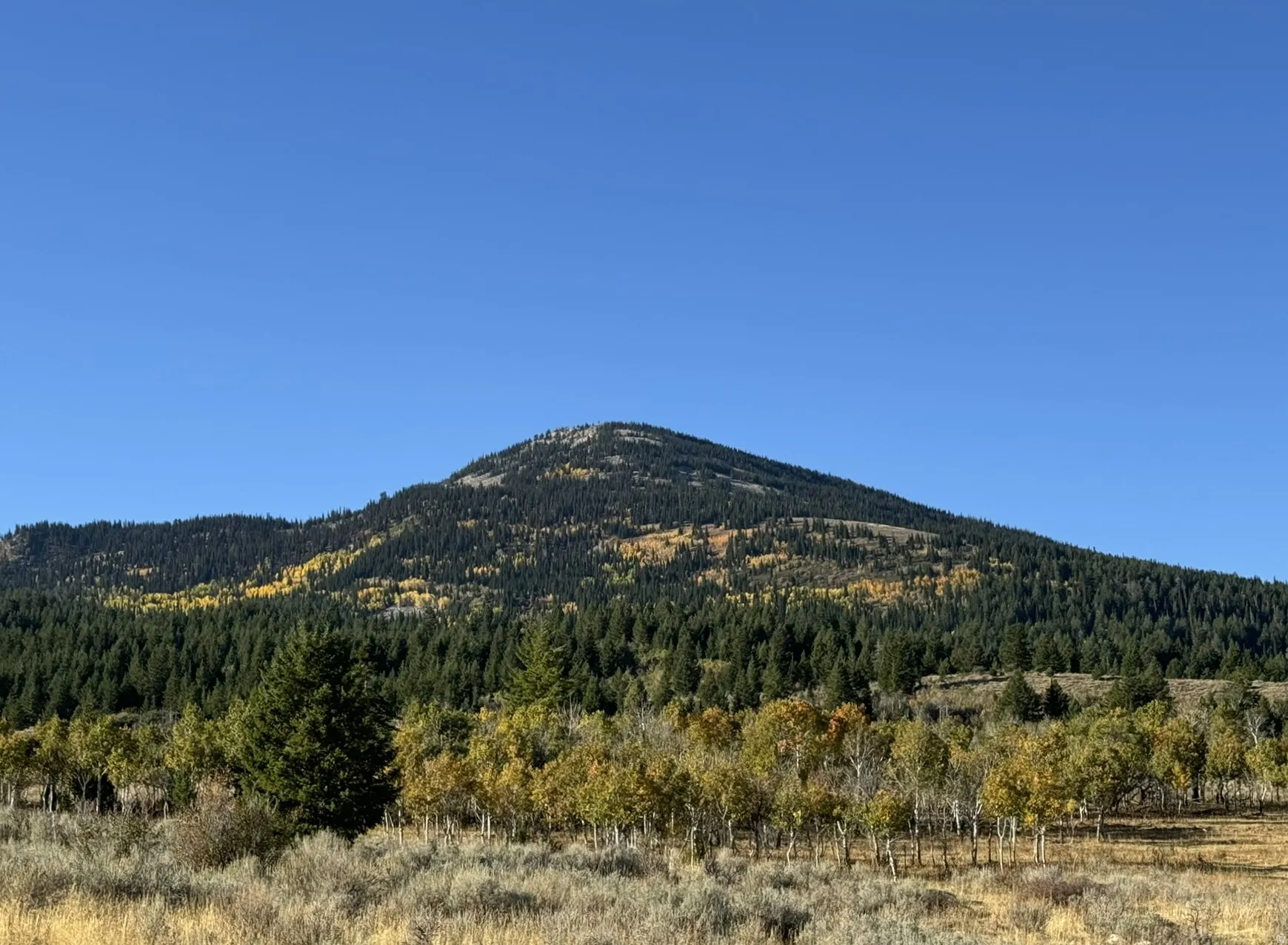 Mountain backdrop featuring dense evergreen forests and scattered deciduous trees displaying autumn foliage