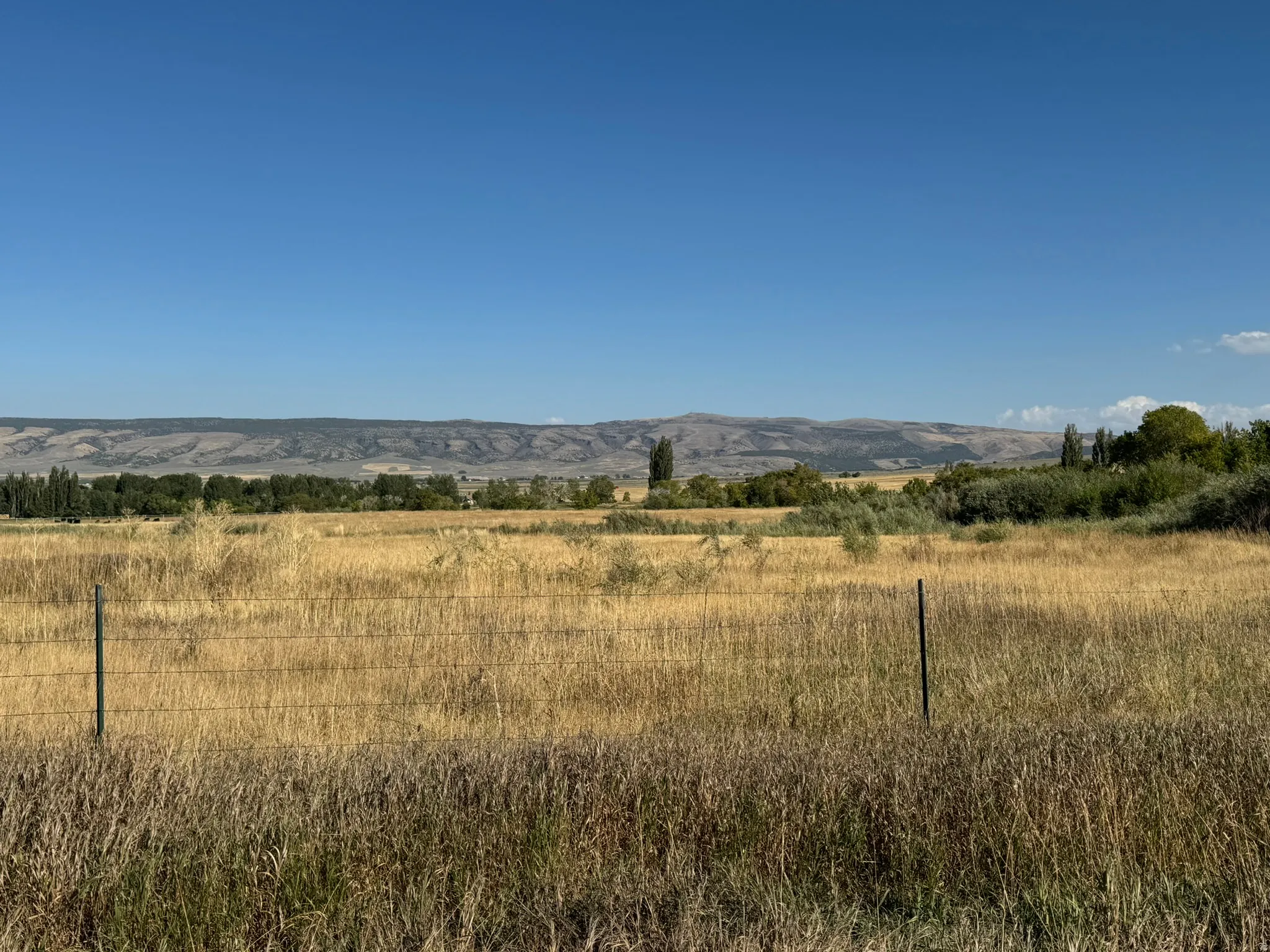 Expansive open fields featuring golden-hued grasses and distant mountain ranges under a clear sky