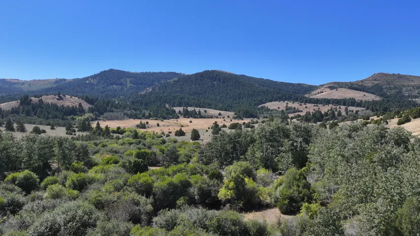 Expansive natural landscape featuring rolling hills and diverse vegetation