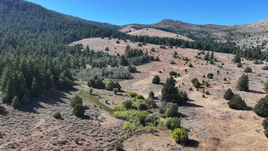 Expansive acreage featuring rolling hills and varied topography