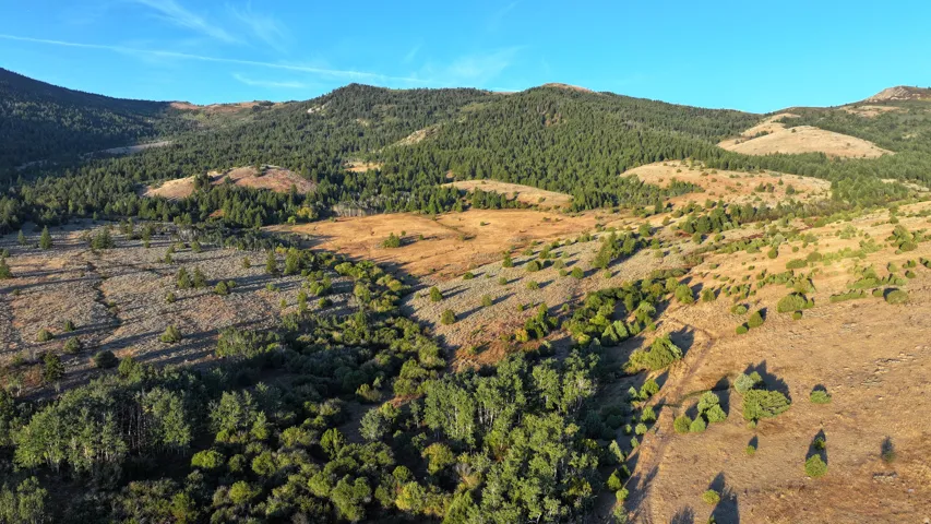 Expansive mountain terrain featuring diverse vegetation, including evergreen forests and patches of golden grass