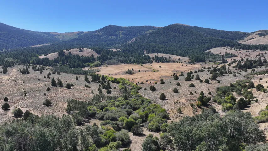 Expansive mountain landscape featuring varied terrain with a mix of evergreen and deciduous trees