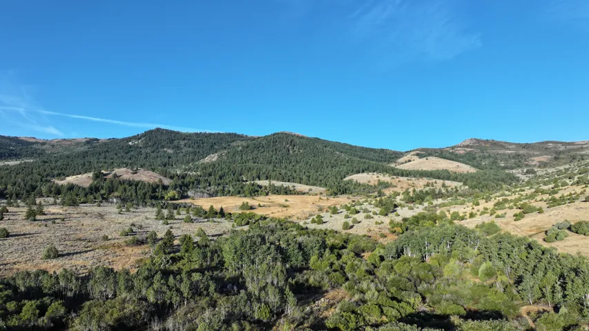 Expansive, tree-covered mountainside property featuring varied terrain, a clear blue sky, and diverse natural vegetation