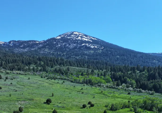 Expansive natural landscape featuring a mountain backdrop with snow-capped peaks, dense evergreen forests, and verdant rolling hills