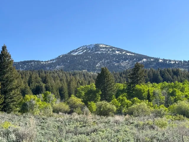 Mountain landscape featuring a snow-capped peak, dense evergreen forest, and varied lower foliage