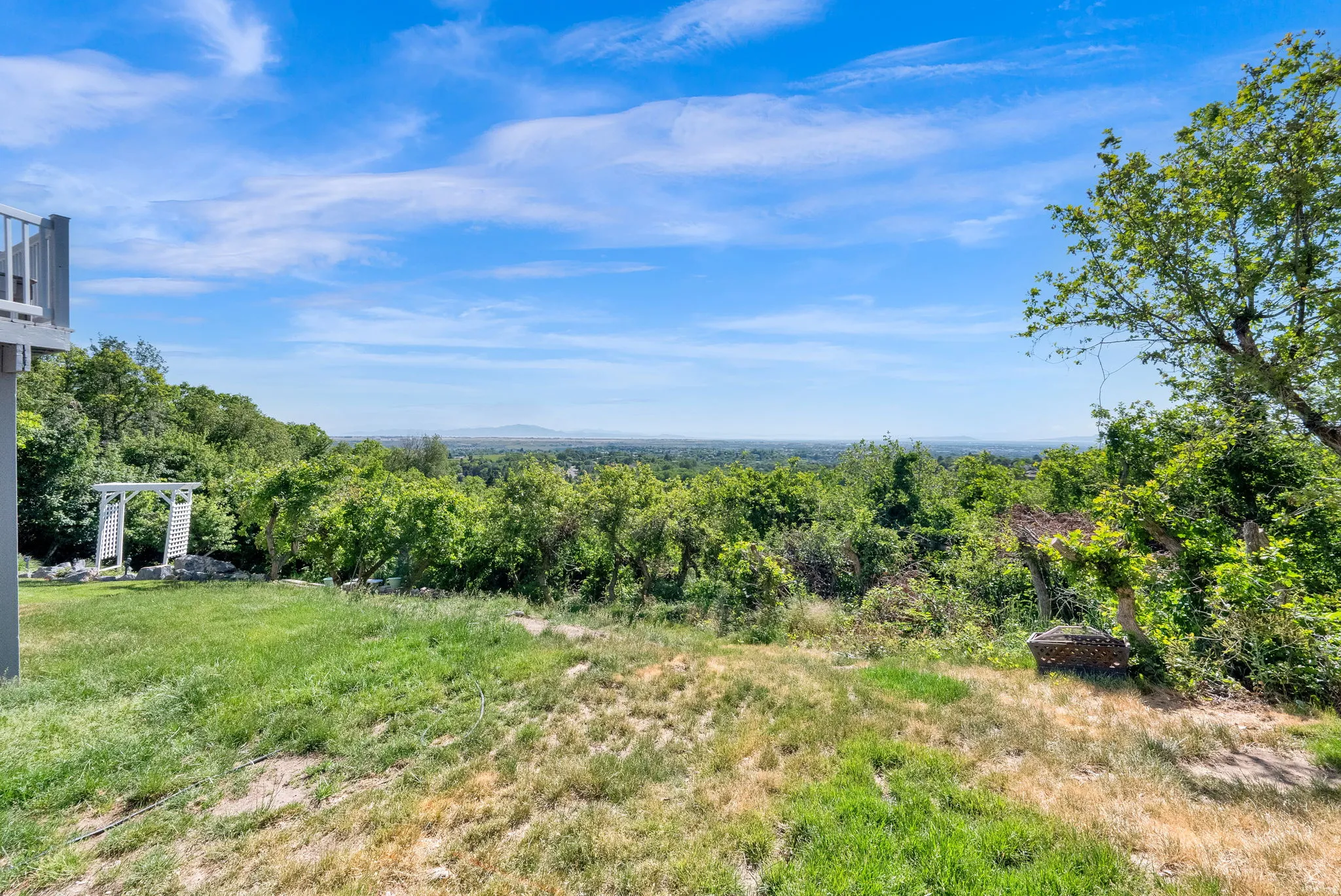 Expansive outdoor grounds featuring a wooden pergola, mature trees, and a distant horizon