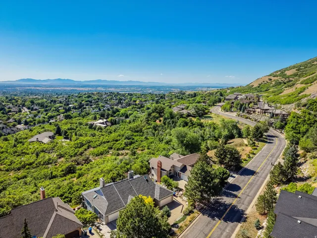 Expansive residential area with a winding road among mature trees and lush green hillsides