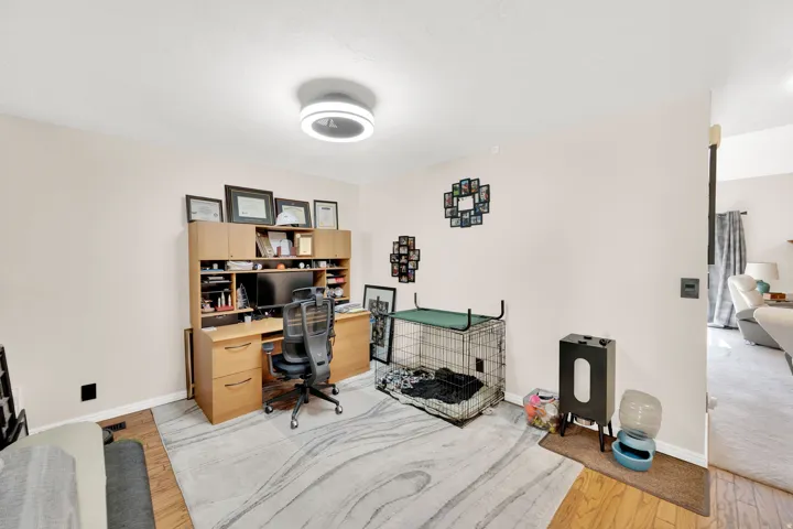Room featuring wood-finish flooring, light-colored walls, and a modern circular ceiling light fixture