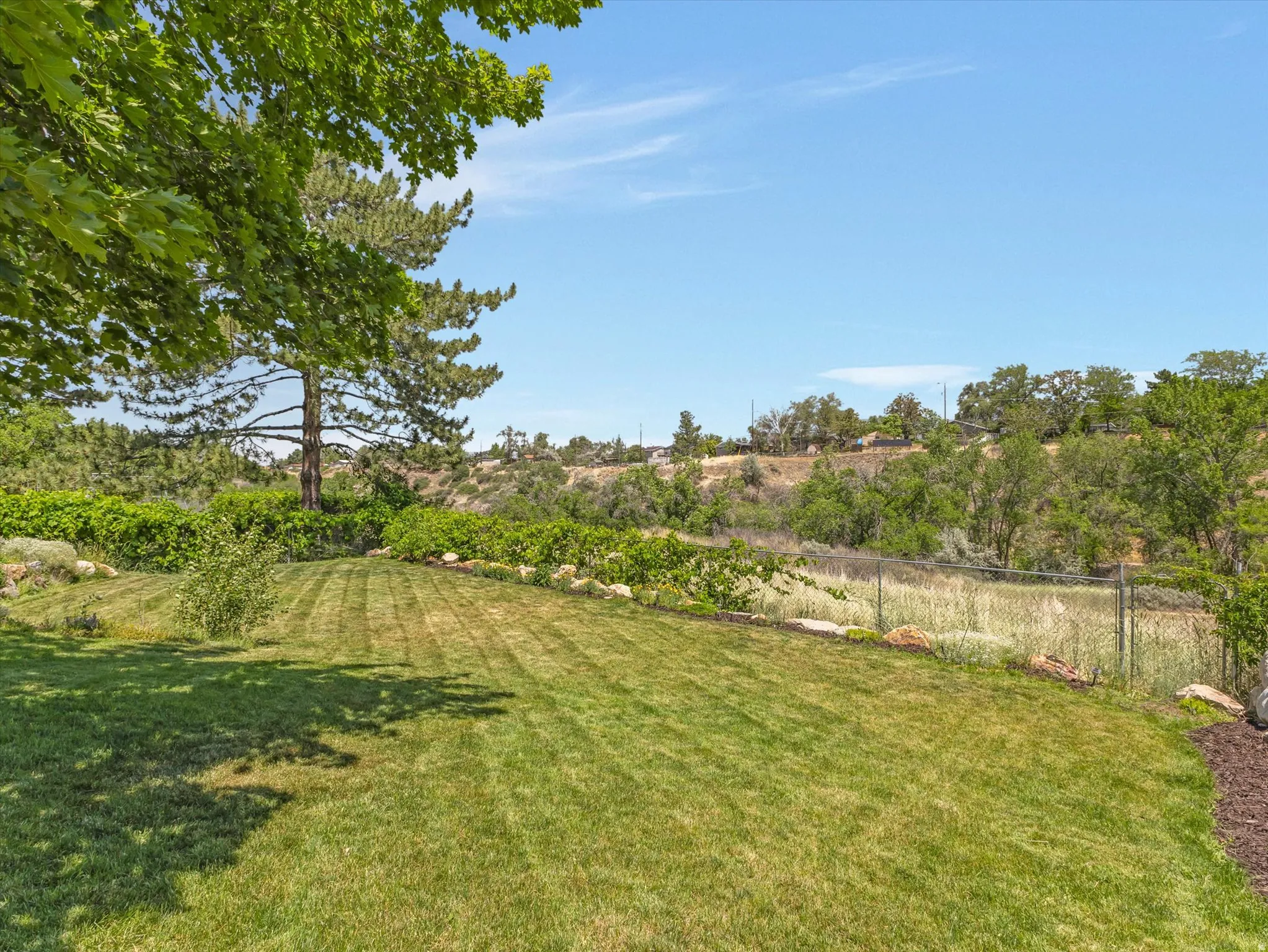 Expansive lawn area with a manicured grass strip, surrounded by established greenery and mature trees