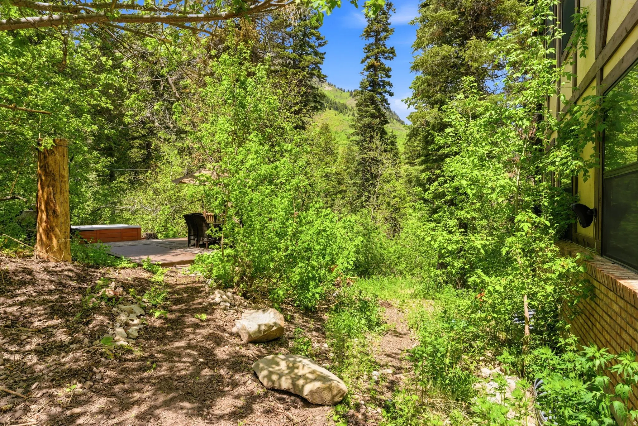 Outdoor patio deck with built-in spa, surrounded by natural landscaping and mature trees