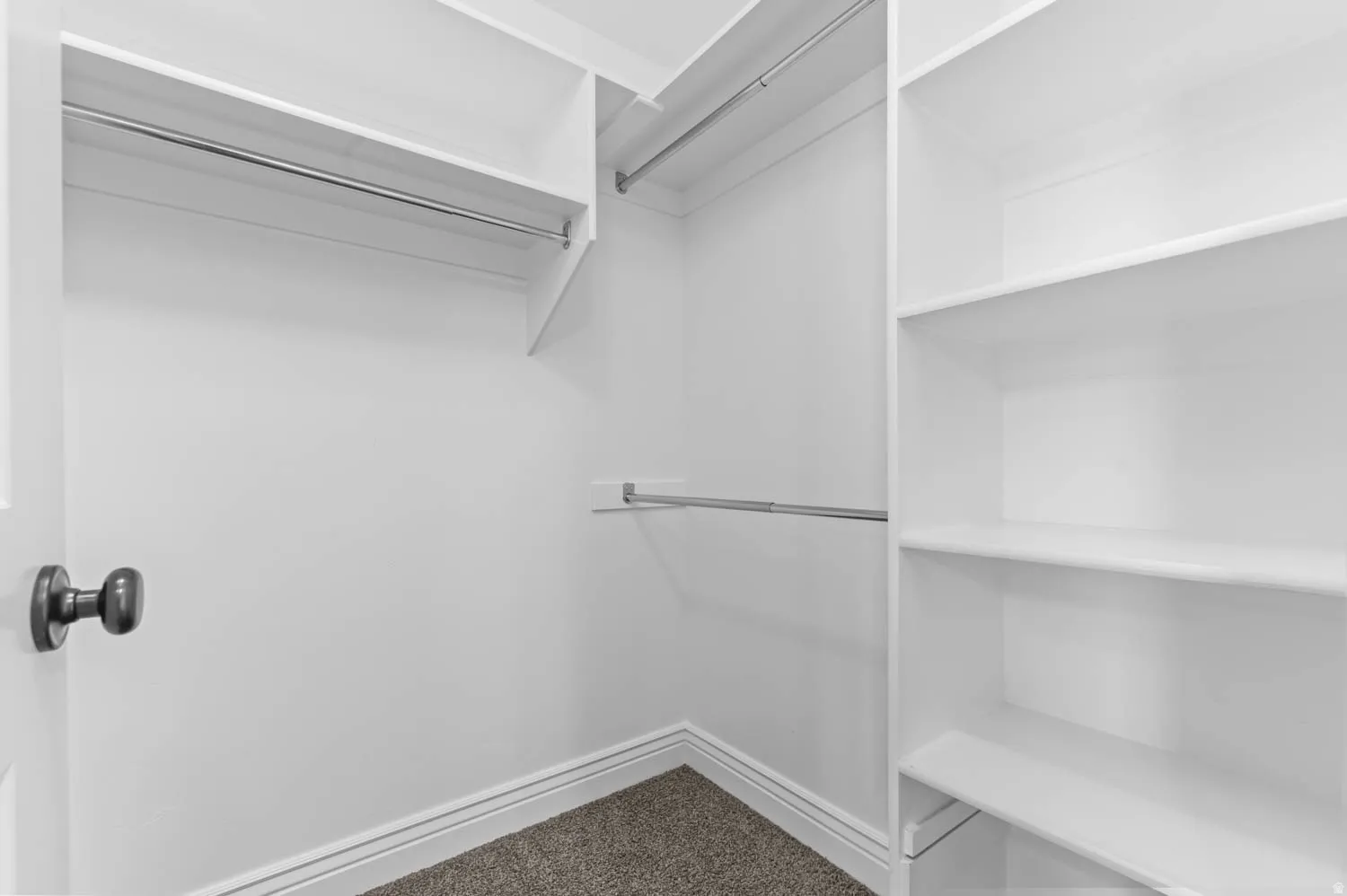 Built-in closet system featuring multiple shelves and hanging rods, white trim, and neutral carpet flooring