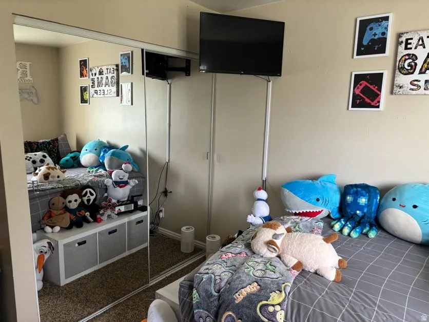 Mirrored closet doors and a wall-mounted television with visible wiring and shelving unit