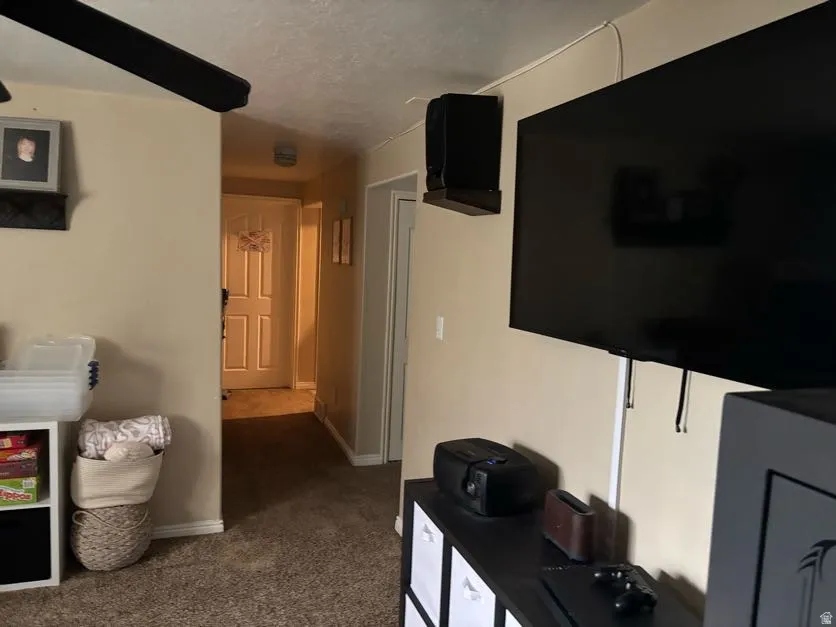 Wall-mounted television and a carpeted hallway