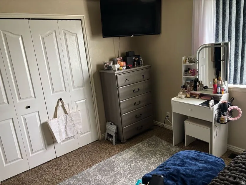Built-in closet with white bifold doors, neutral-toned walls, and carpet flooring