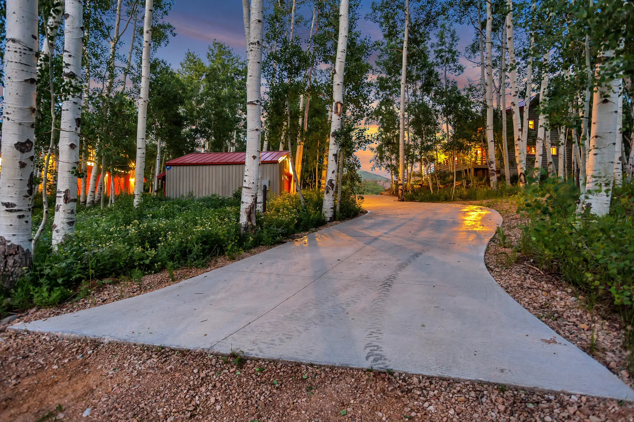 Curved concrete driveway surrounded by mature aspen trees