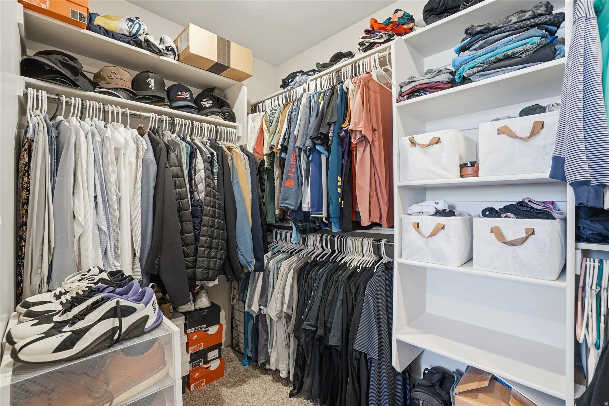 Walk-in closet featuring extensive built-in shelving, multiple hanging rods, and plush carpet flooring