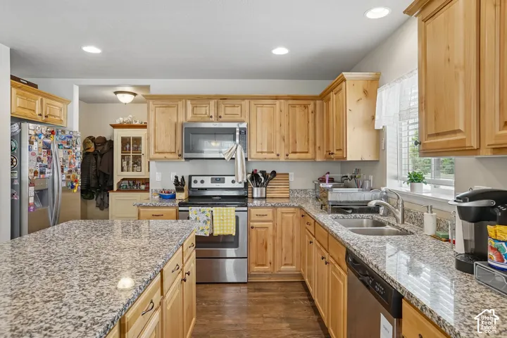 Kitchen featuring a central island with granite countertops, wood cabinetry, stainless steel appliances, and a double basin sink