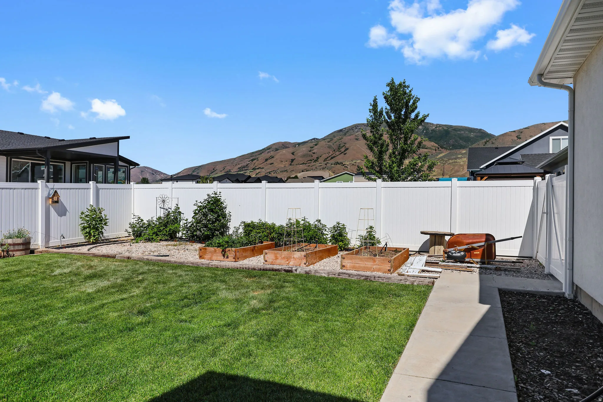 Expansive backyard featuring a lush lawn, white vinyl fencing, concrete pathway, and multiple raised garden beds