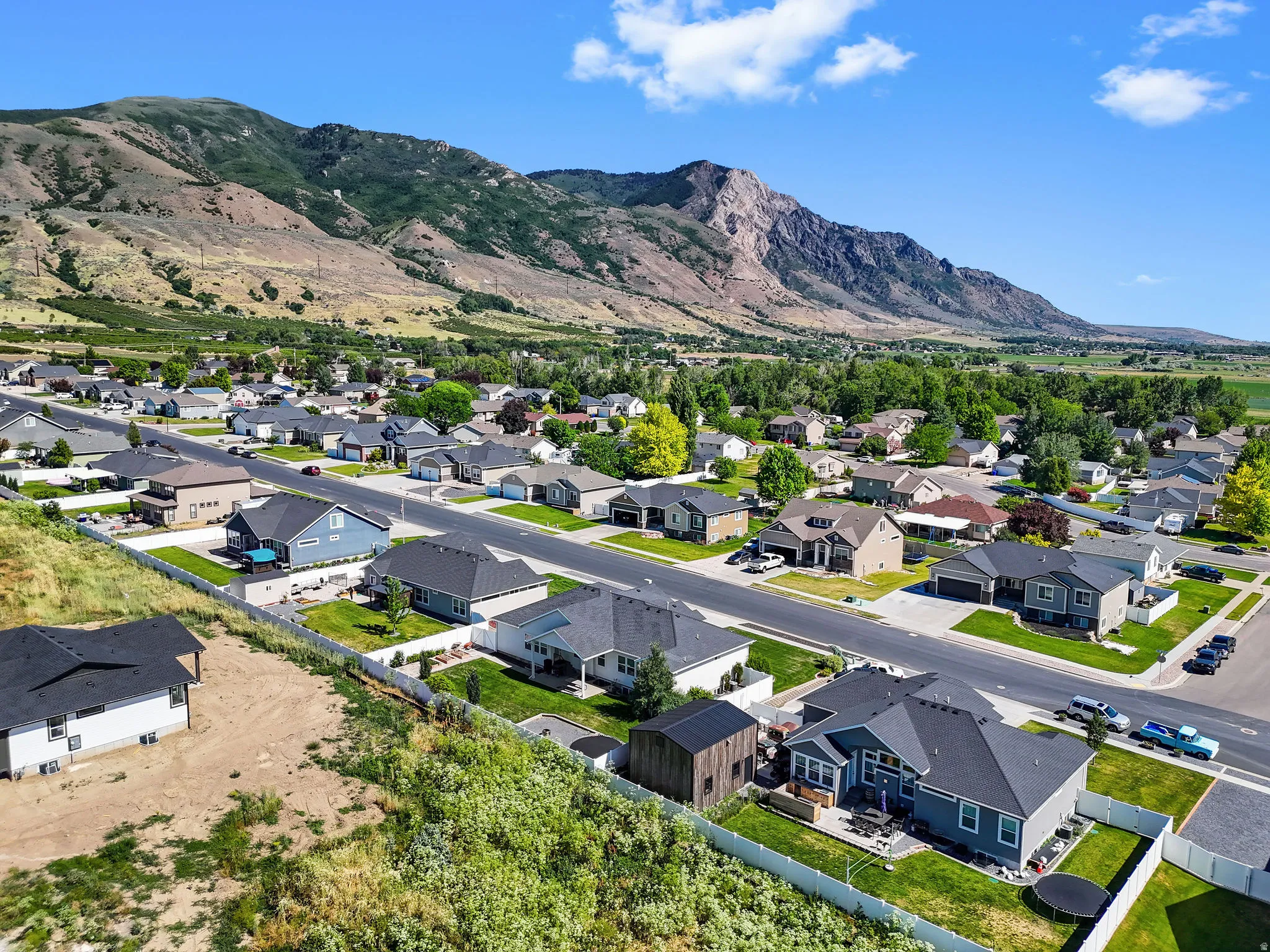 Residential neighborhood with varied single-story and two-story homes, featuring mature green landscaping and paved streets