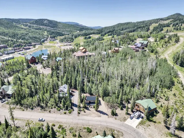 Mountainous landscape with dense coniferous and deciduous trees, featuring multiple residential properties