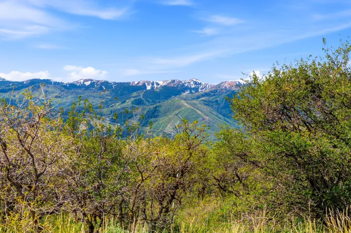 Mountainous landscape featuring snow-capped peaks and verdant foothills under a clear sky