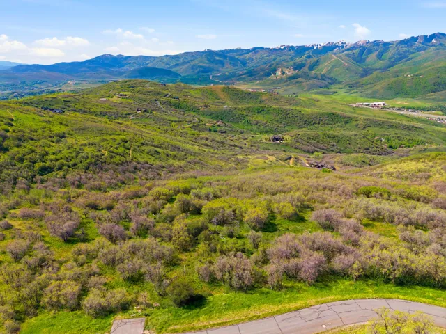 Expansive mountain landscape featuring varied green foliage across rolling hills